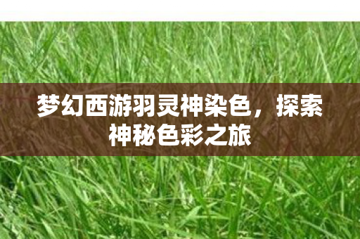 梦幻西游羽灵神染色图片