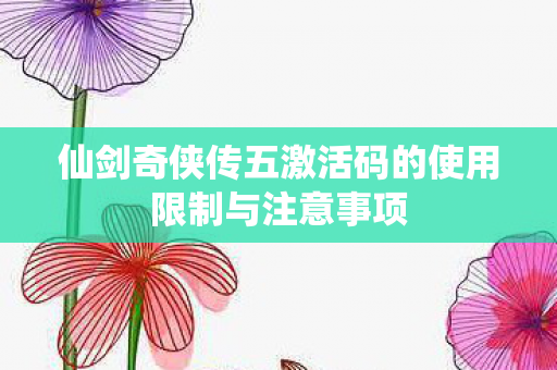 仙剑奇侠传五激活码的使用限制与注意事项图片