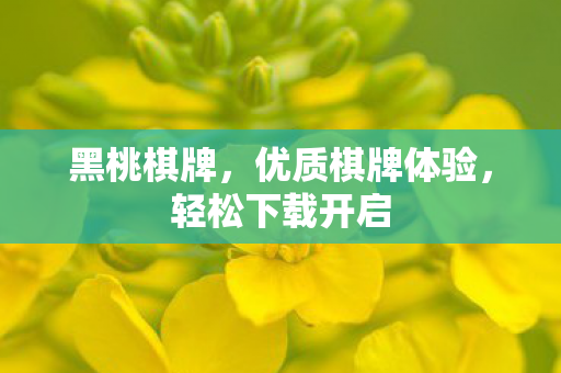 优质棋牌体验图片