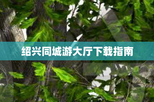绍兴同城游大厅下载指南图片