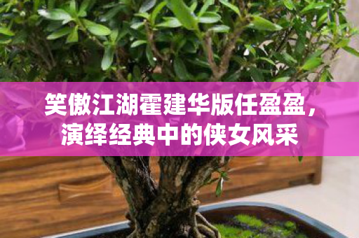 笑傲江湖霍建华版任盈盈图片