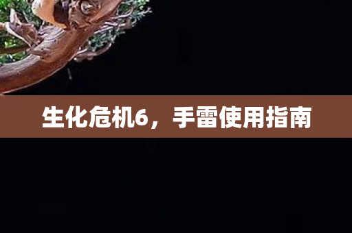 手雷使用指南图片