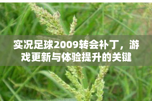 实况足球2009转会补丁图片