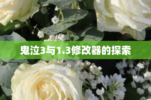 3修改器的探索图片