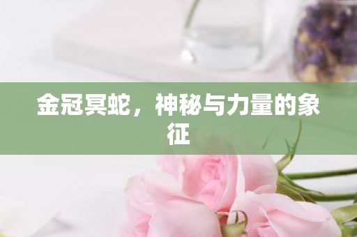 神秘与力量的象征图片