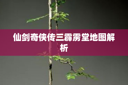 仙剑奇侠传三霹雳堂地图解析图片