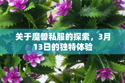 3月13日的独特体验图片