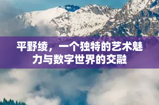 一个独特的艺术魅力与数字世界的交融图片