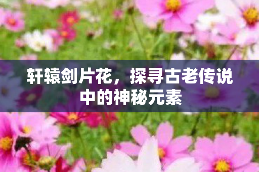 探寻古老传说中的神秘元素图片