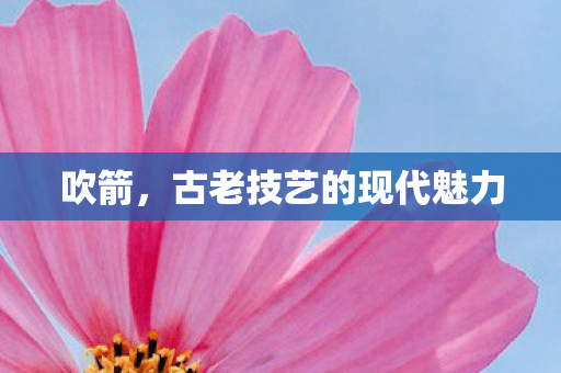 古老技艺的现代魅力图片