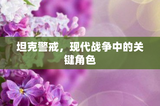 现代战争中的关键角色图片