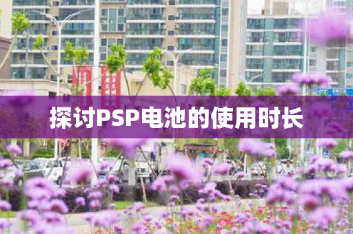探讨PSP电池的使用时长图片