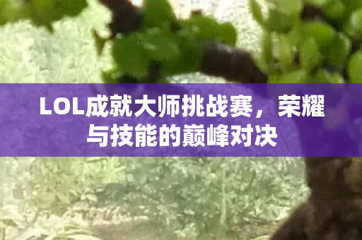 LOL成就大师挑战赛图片
