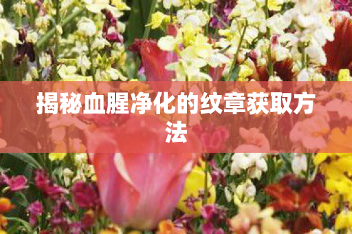 揭秘血腥净化的纹章获取方法图片