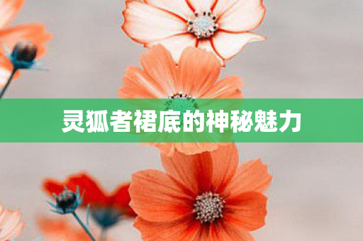 灵狐者裙底的神秘魅力图片