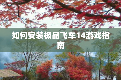 如何安装极品飞车14游戏指南图片