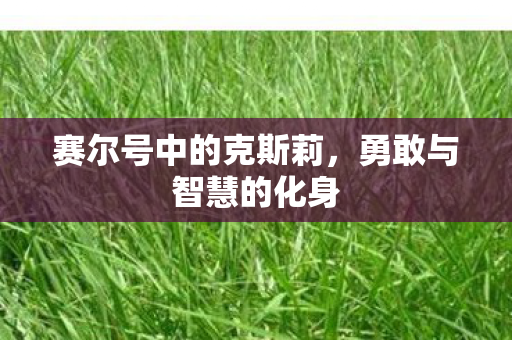 赛尔号中的克斯莉图片