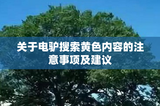 关于电驴搜索黄色内容的注意事项及建议图片