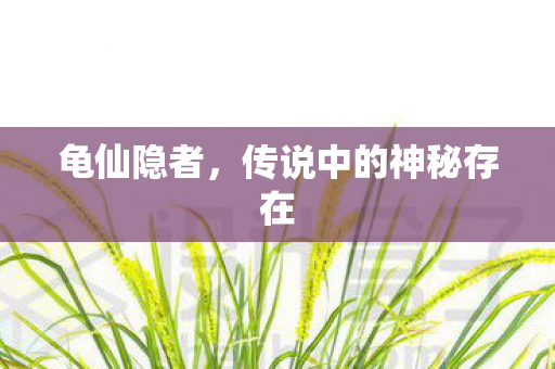 传说中的神秘存在图片
