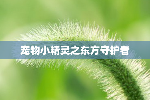 宠物小精灵之东方守护者图片