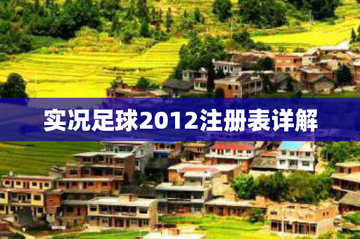 实况足球2012注册表详解图片