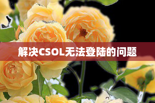 解决CSOL无法登陆的问题图片