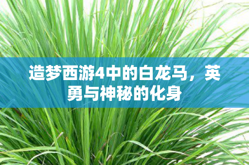 造梦西游4中的白龙马图片