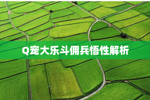 Q宠大乐斗佣兵悟性解析图片