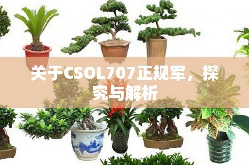 关于CSOL707正规军图片