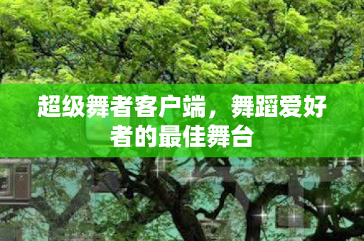 舞蹈爱好者的最佳舞台图片