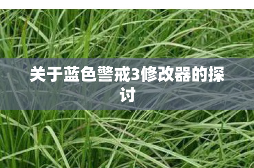关于蓝色警戒3修改器的探讨图片