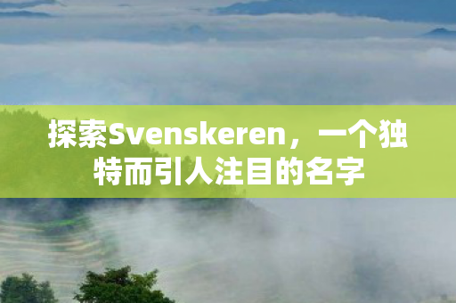 探索Svenskeren图片