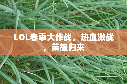 LOL春季大作战图片