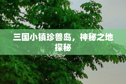 三国小镇珍兽岛图片