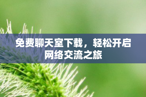 轻松开启网络交流之旅图片