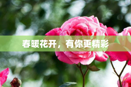 有你更精彩图片