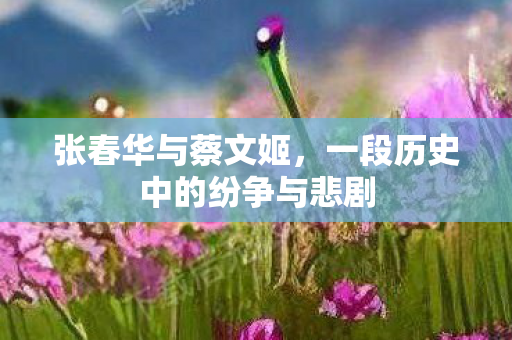 一段历史中的纷争与悲剧图片