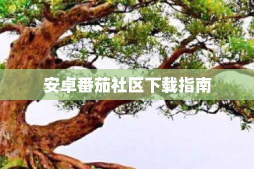 安卓番茄社区下载指南图片