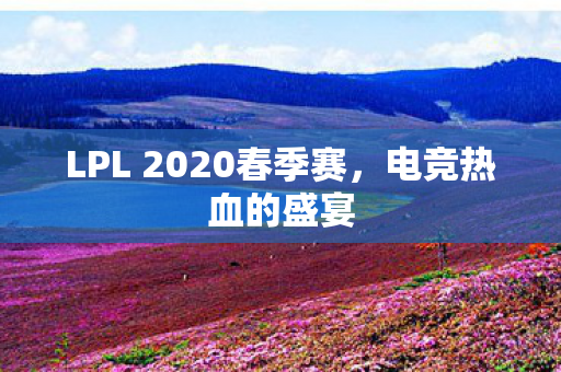 LPL 2020春季赛图片