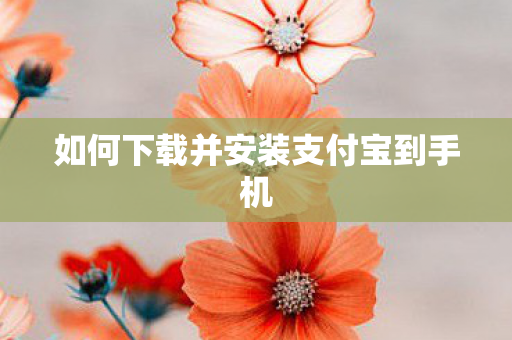 如何下载并安装支付宝到手机图片