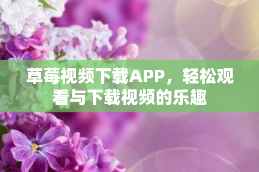 轻松观看与下载视频的乐趣图片