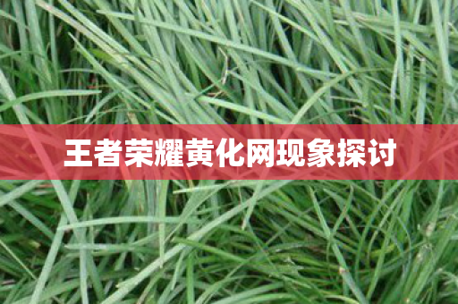 王者荣耀黄化网现象探讨图片