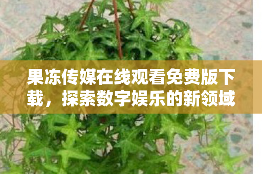 果冻传媒在线观看免费版下载图片