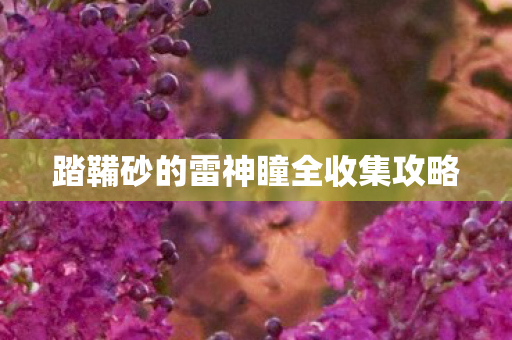 踏鞴砂的雷神瞳全收集攻略图片