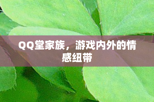 游戏内外的情感纽带图片