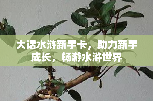 大话水浒新手卡图片