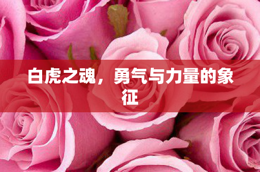 勇气与力量的象征图片