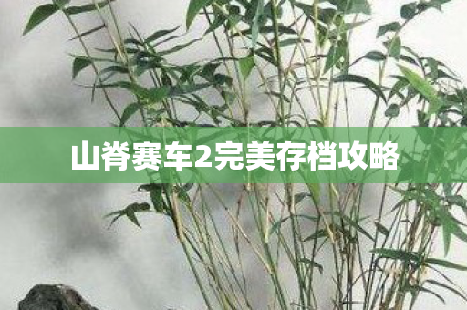 山脊赛车2完美存档攻略图片