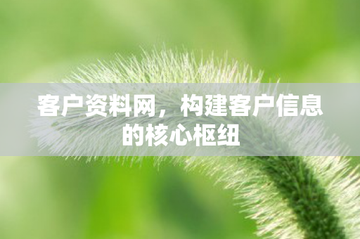 构建客户信息的核心枢纽图片