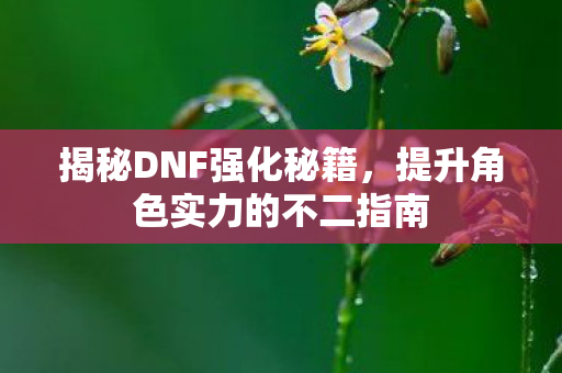 提升角色实力的不二指南图片